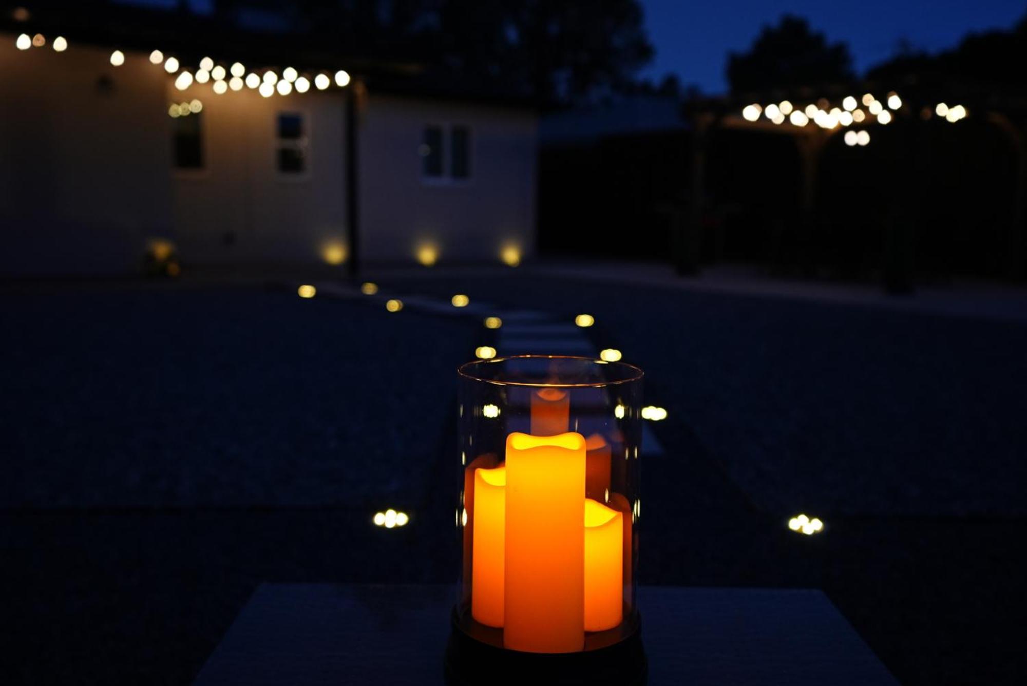 Centrally Located! Remodeled! Huge Backyard! The White House Albuquerque Dış mekan fotoğraf